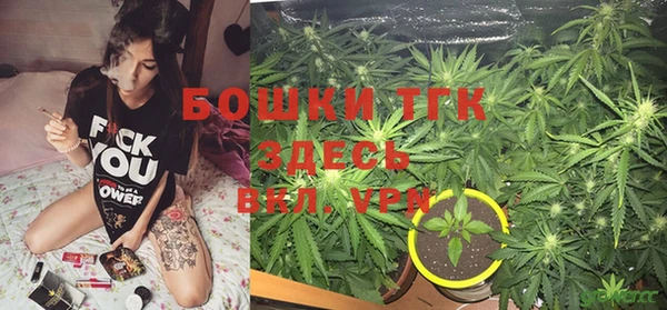 ПСИЛОЦИБИНОВЫЕ ГРИБЫ Бугульма