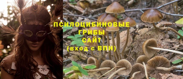 марки nbome Беломорск
