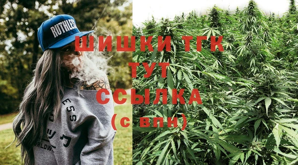 стафф Богородск