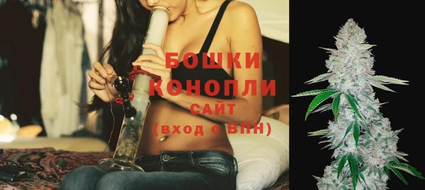 стафф Богданович